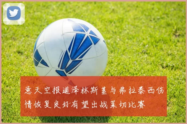 意天空报道泽林斯基与弗拉泰西伤情恢复良好有望出战莱切比赛